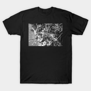 Flowerbed of pansies T-Shirt